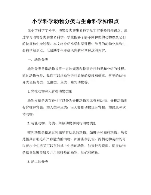 小学科学动物分类与生命科学知识点