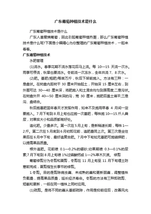 广东葡萄种植技术是什么