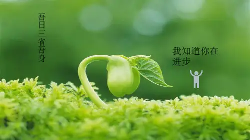 团会区域答辩-PPT课件