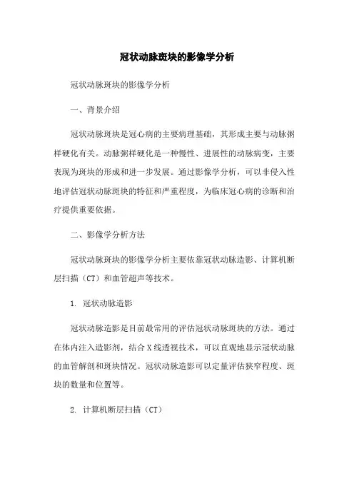 冠状动脉斑块的影像学分析