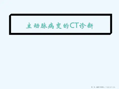 主动脉病变CT诊断资料
