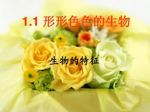 生物的特征