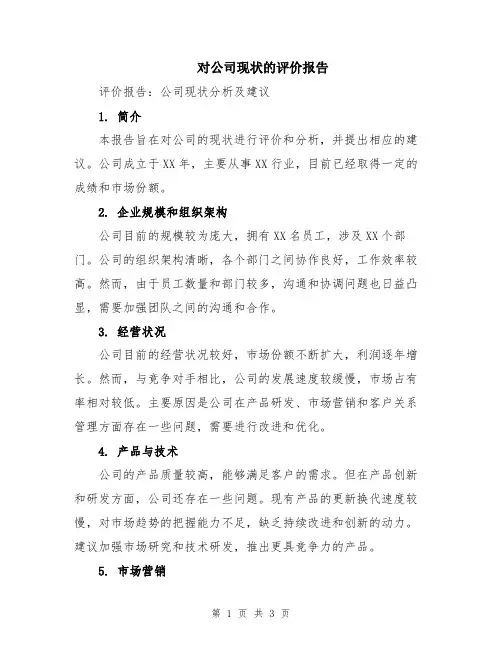 对公司现状的评价报告