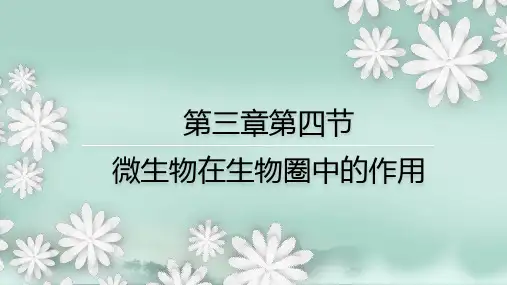 2.3.4  微生物在生物圈中的作用  课件(20张PPT)-2024学年济南版生物七年级上册