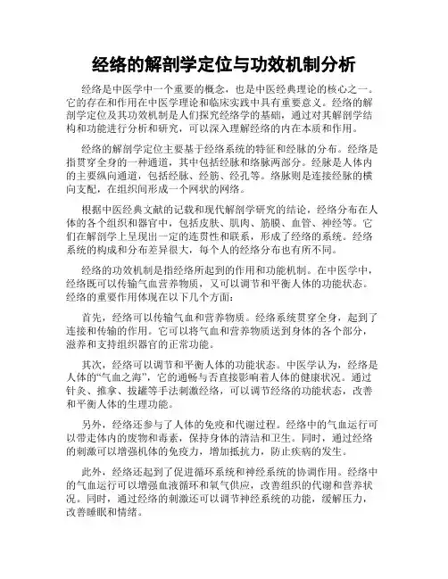 经络的解剖学定位与功效机制分析
