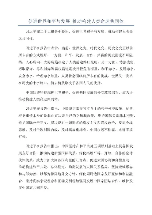 促进世界和平与发展 推动构建人类命运共同体