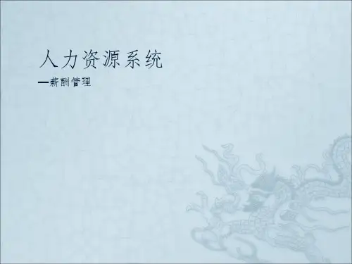 人力资源管理系统薪酬管理ppt课件