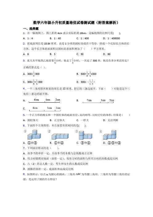 数学六年级小升初质量培优试卷测试题(附答案解析)