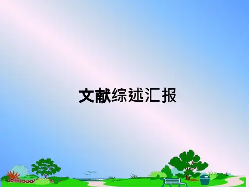 文献综述汇报教学讲义课件