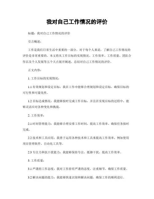 我对自己工作情况的评价 (2)