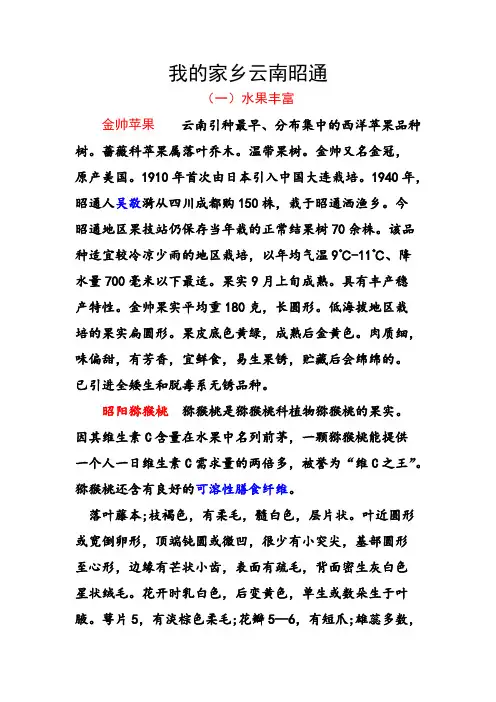 我的家乡云南昭通【精选】