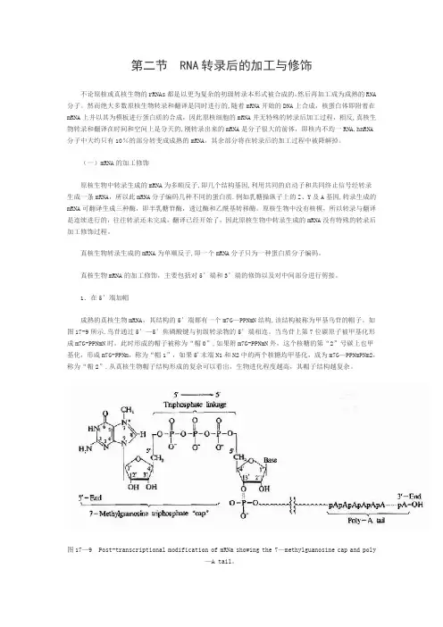 RNA转录后的加工与修饰