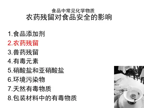 食品中常见化学物质 农药残留对食品安全的影响教学课件