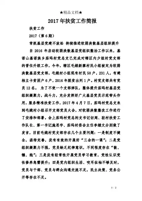 2017扶贫工作简报