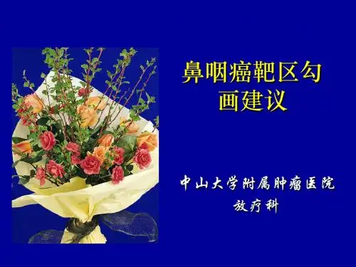中山大学附属肿瘤医院NPC靶区勾画课件