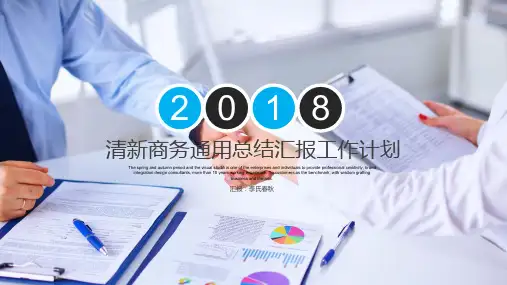 ppt通用模板：项目合作工作总结2018工作计划商务汇报