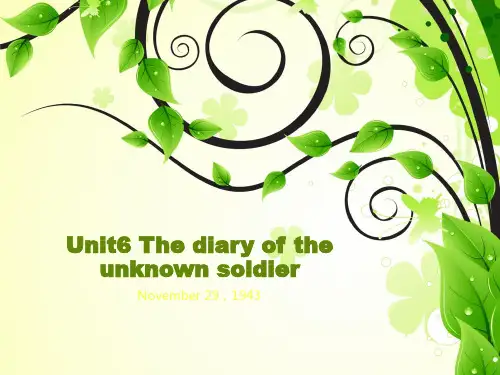 Unit6 The diary of the unknow soldier