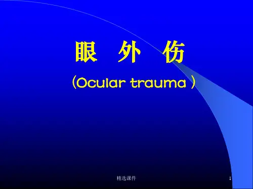 眼外伤ppt课件