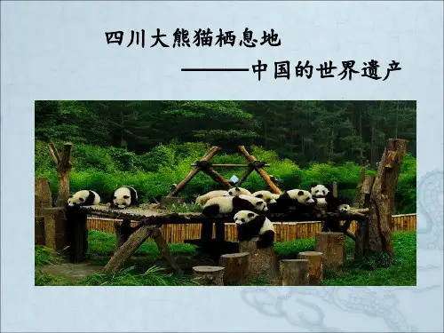 中国历史文化遗产大熊猫