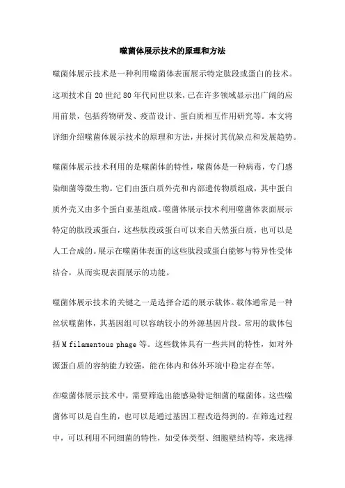 噬菌体展示技术的原理和方法