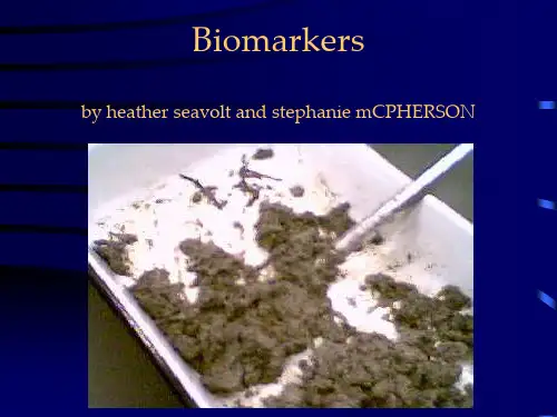 bIOMARKERS生物标志物-PPT精选文档