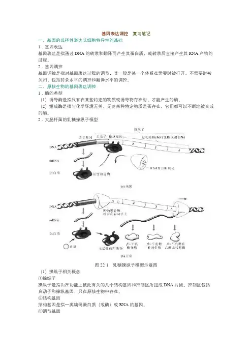 基因表达调控复习笔记