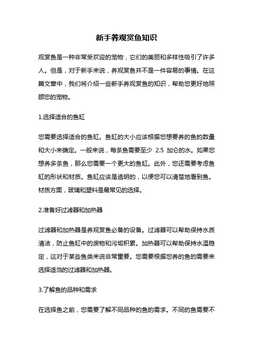 新手养观赏鱼知识