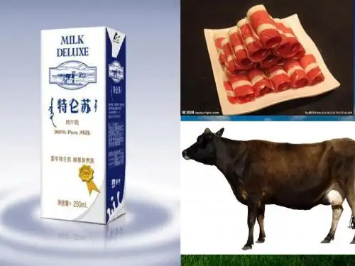 《以畜牧业为主的农业地域类型》ppt课件