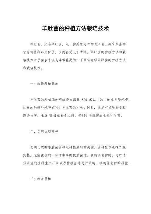 羊肚菌的种植方法栽培技术