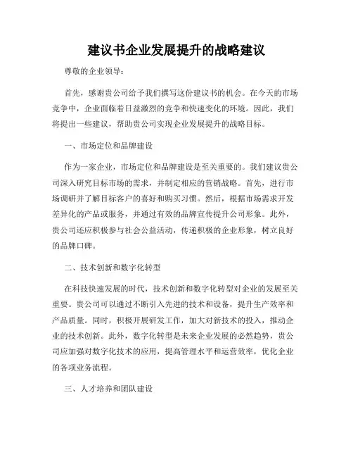 建议书企业发展提升的战略建议