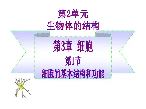 北师大版七年级上册生物细胞的基本结构和功能课件