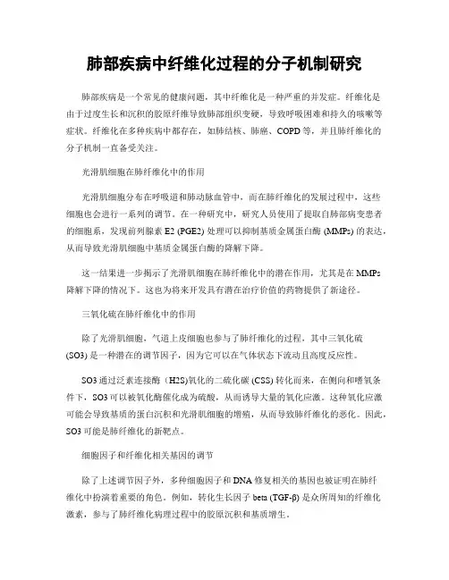 肺部疾病中纤维化过程的分子机制研究