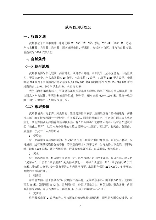 武鸣现状概况