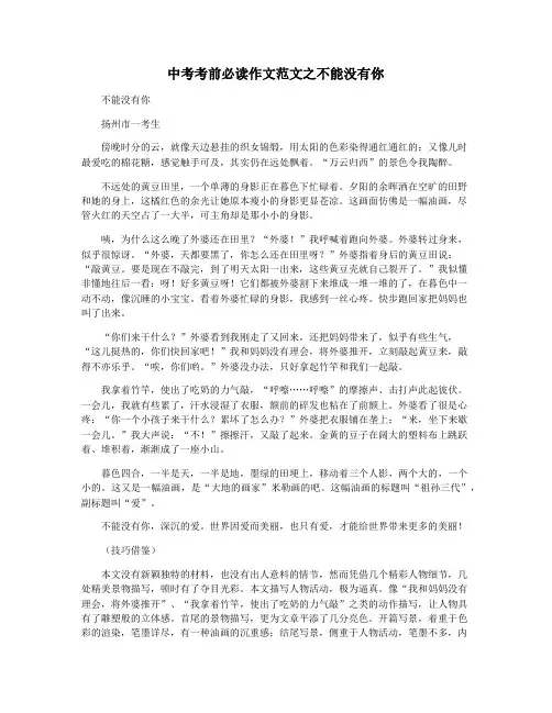 中考考前必读作文范文之不能没有你