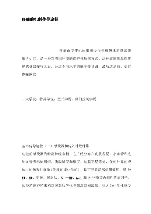 疼痛的机制传导途径
