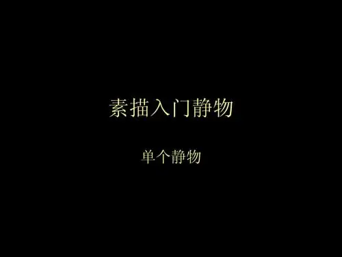 素描入门静物