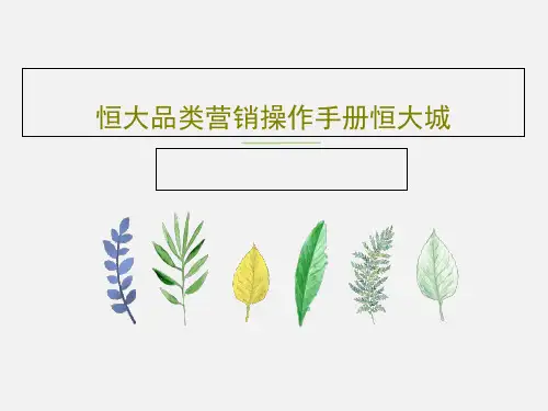 恒大品类营销操作手册恒大城共98页文档
