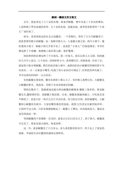 深圳一模语文作文范文