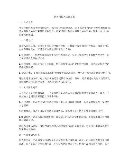 新公司投入运营方案