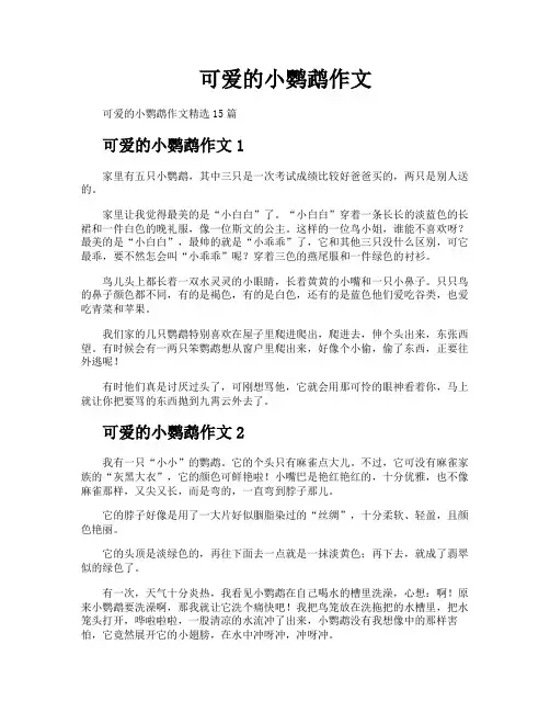 可爱的小鹦鹉作文