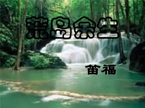 荒岛余生
