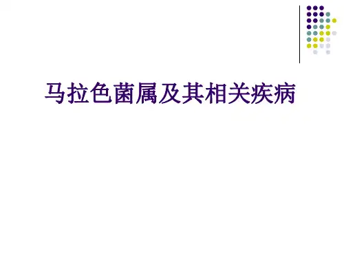 马拉色菌属及其相关疾病