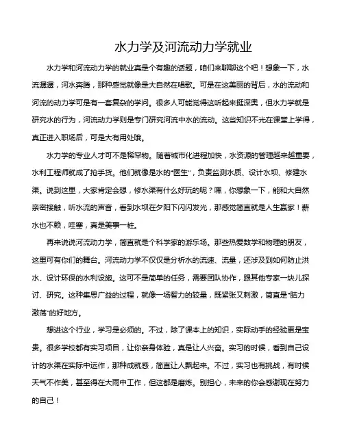 水力学及河流动力学就业