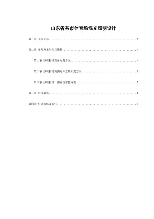 山东省某市体育场混光照明设计