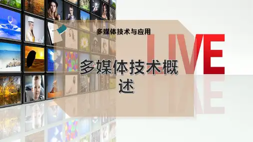 多媒体技术概述