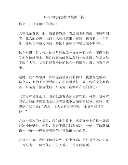风雨中的身影作文集锦十篇