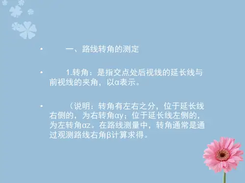 pAAA道路中线测量路线转角的测定和里程桩设置
