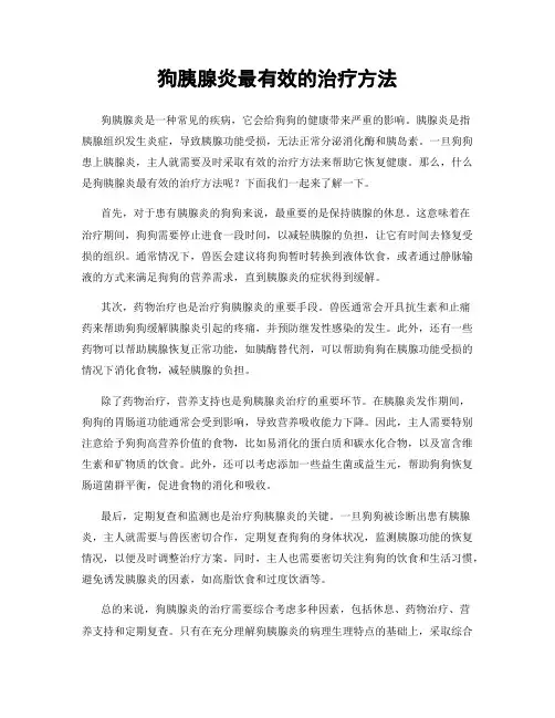 狗胰腺炎最有效的治疗方法