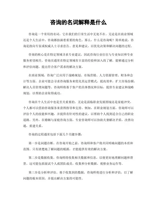 咨询的名词解释是什么