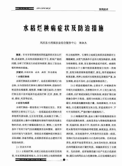 水稻烂秧病症状及防治措施